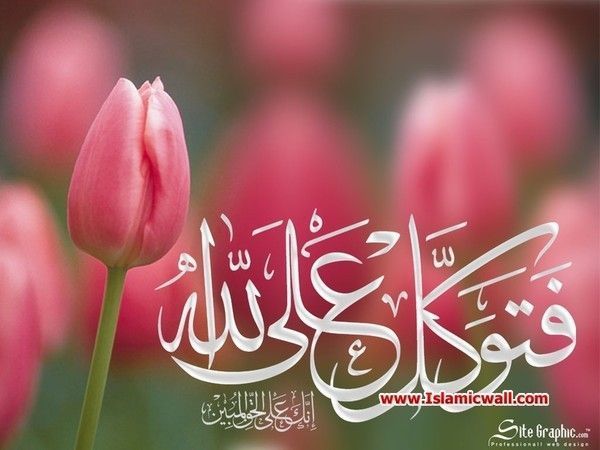 La biographie du Prophète Mohammed (SAW) -2-