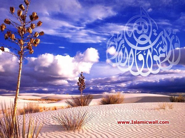 صفات عباد الرحمن