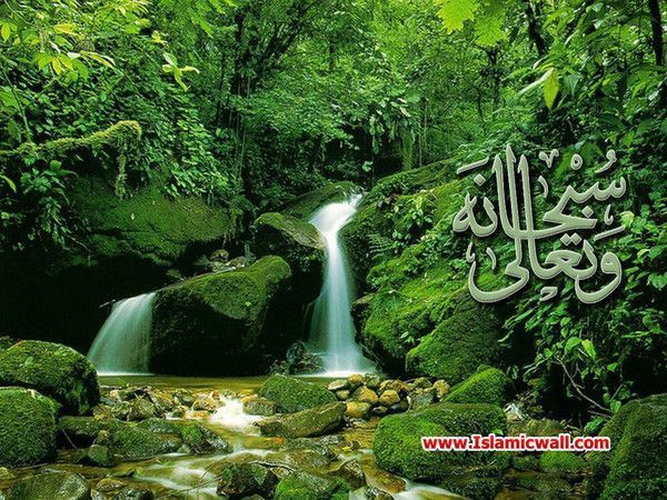 واجب لإخفاء عيوب المسلمين